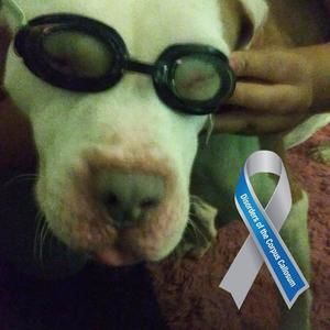 Meet your Posher, Aidyl